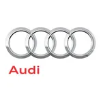 Audi service in Trinidad